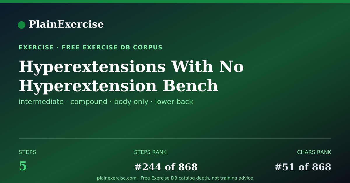 Shareable card for Hyperextensions With No Hyperextension Bench | PlainExercise