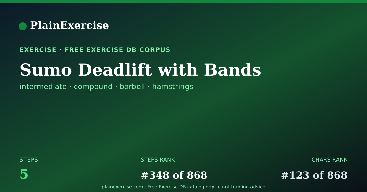 Shareable card for Sumo Deadlift with Bands guide | PlainExercise
